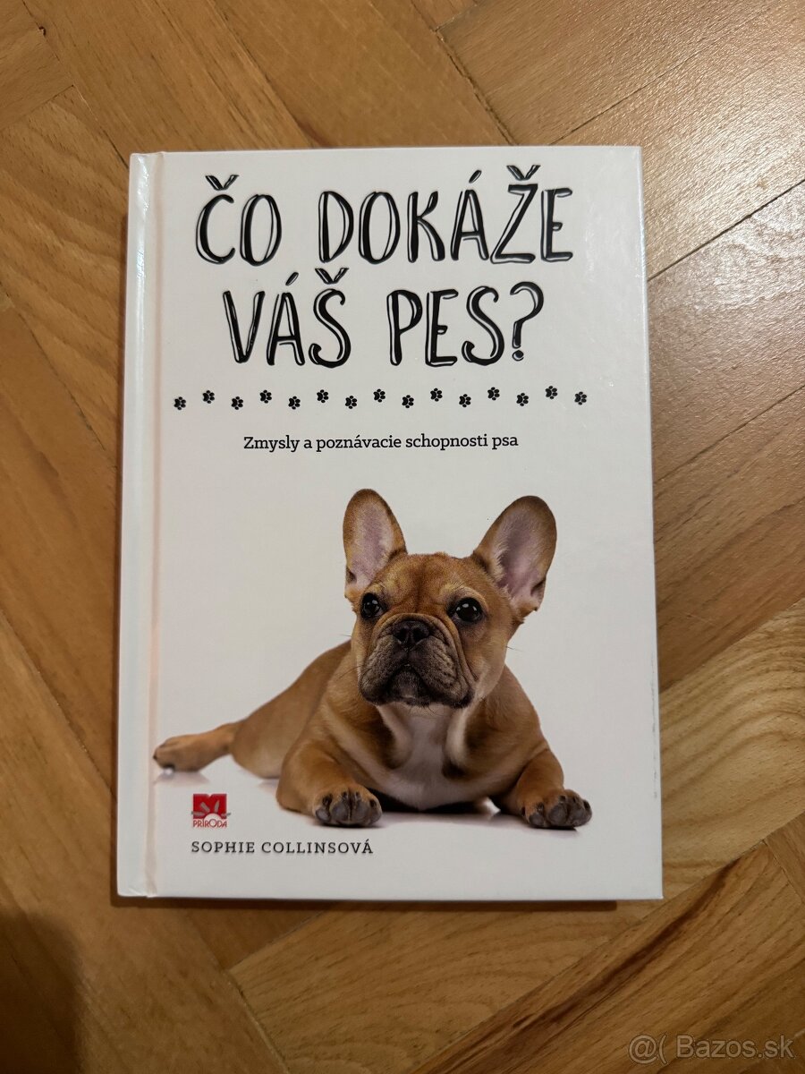 Čo dokáže váš pes