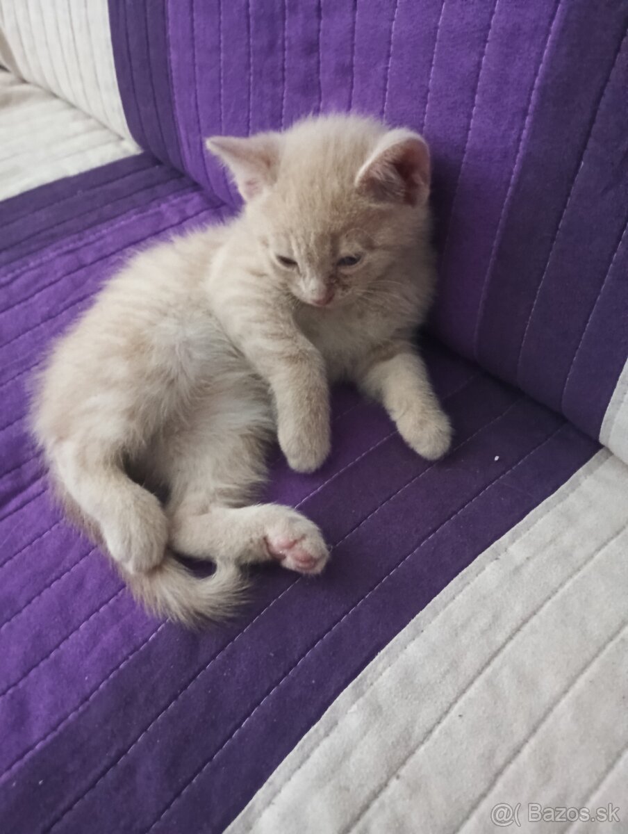 na predaj