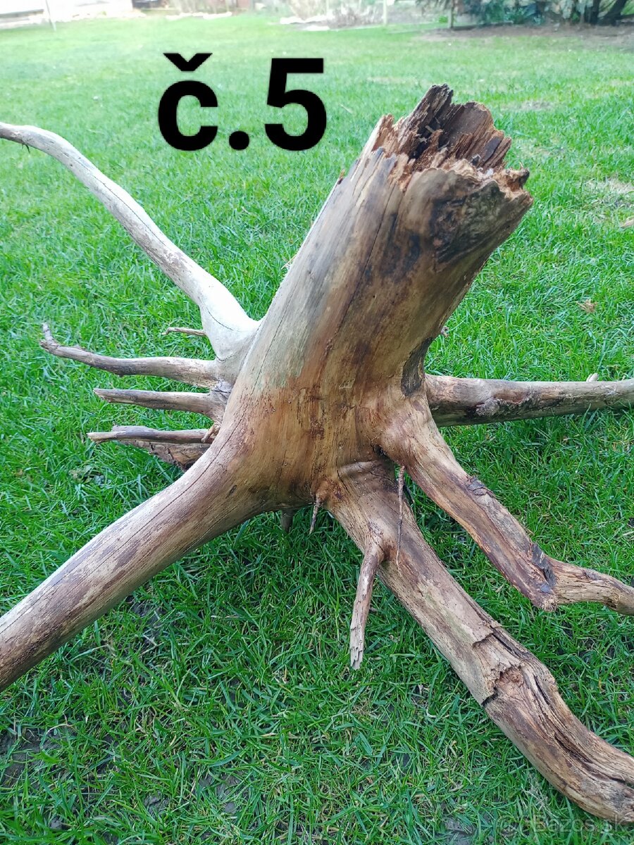 Predám koreň do akvária terária paludária, do skalky