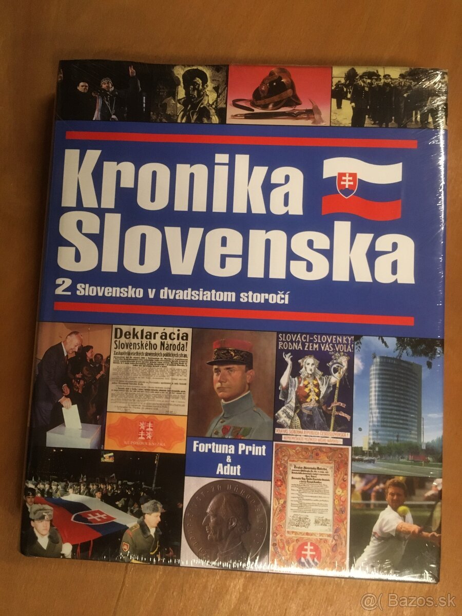 KRONIKA SLOVENSKA, SLOVENSKÉ POHĽADY