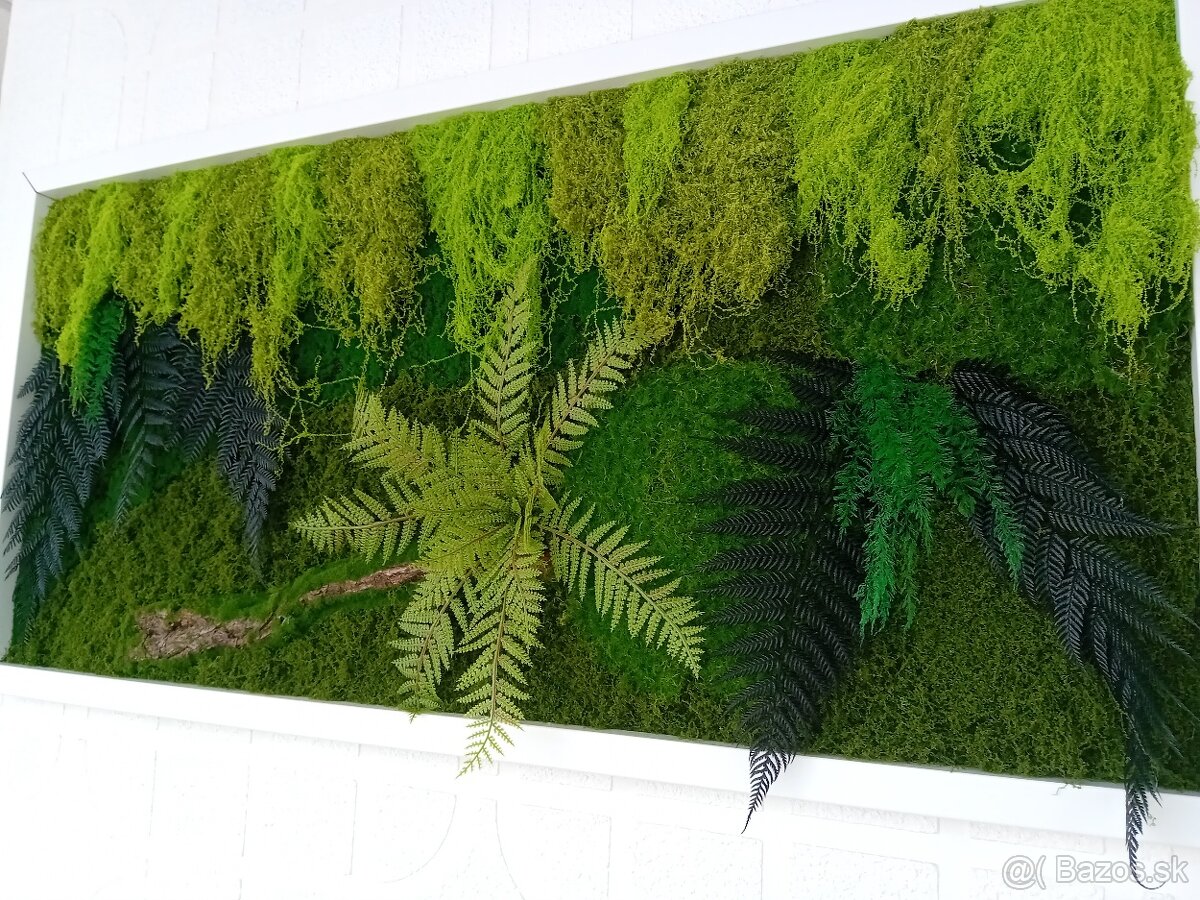 Machový obraz 120x60cm