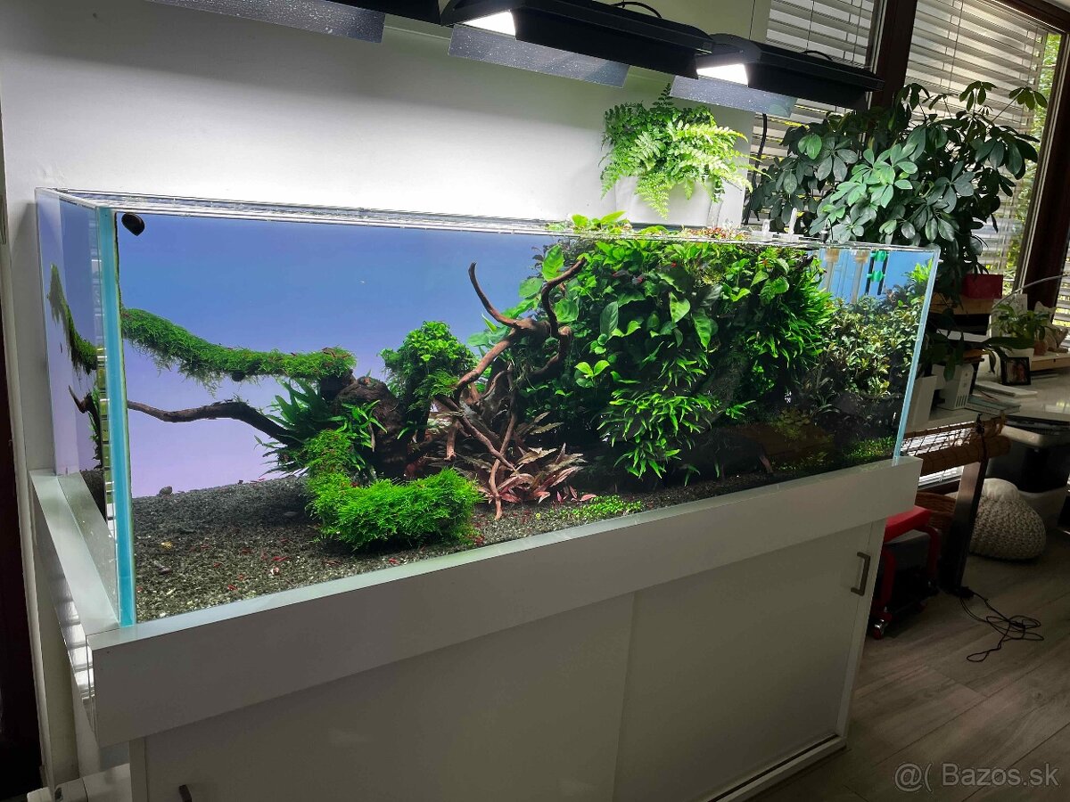 Predam komplet akvarium