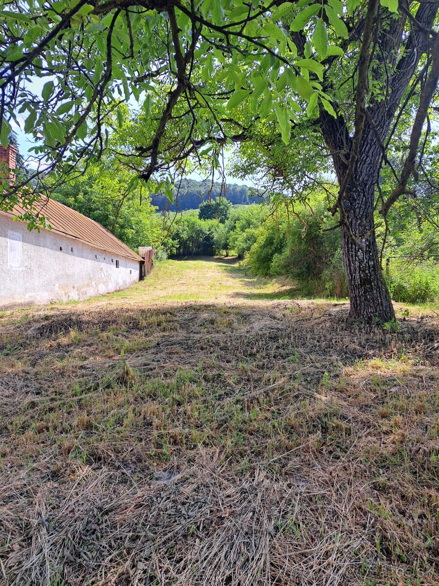 Na predaj pozemok ideálny na chatu, Jasenovce
