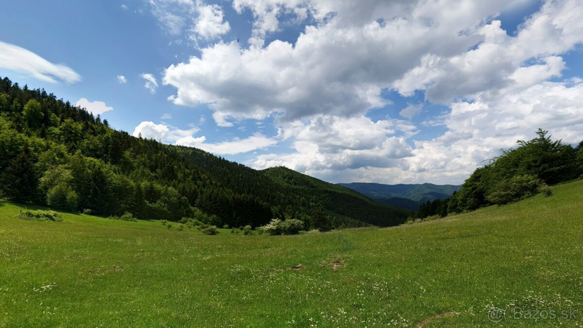 Čavoj – Spoluvlastnícky podiel na lesoch (urbár)