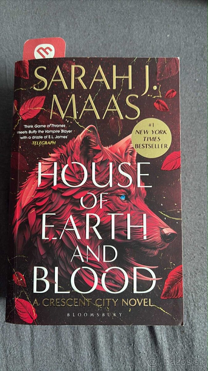 Sarah J. Maas -House of celá séria
