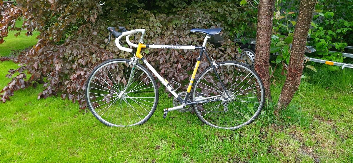 Talianský cesťák F. Moser Corsa 21"