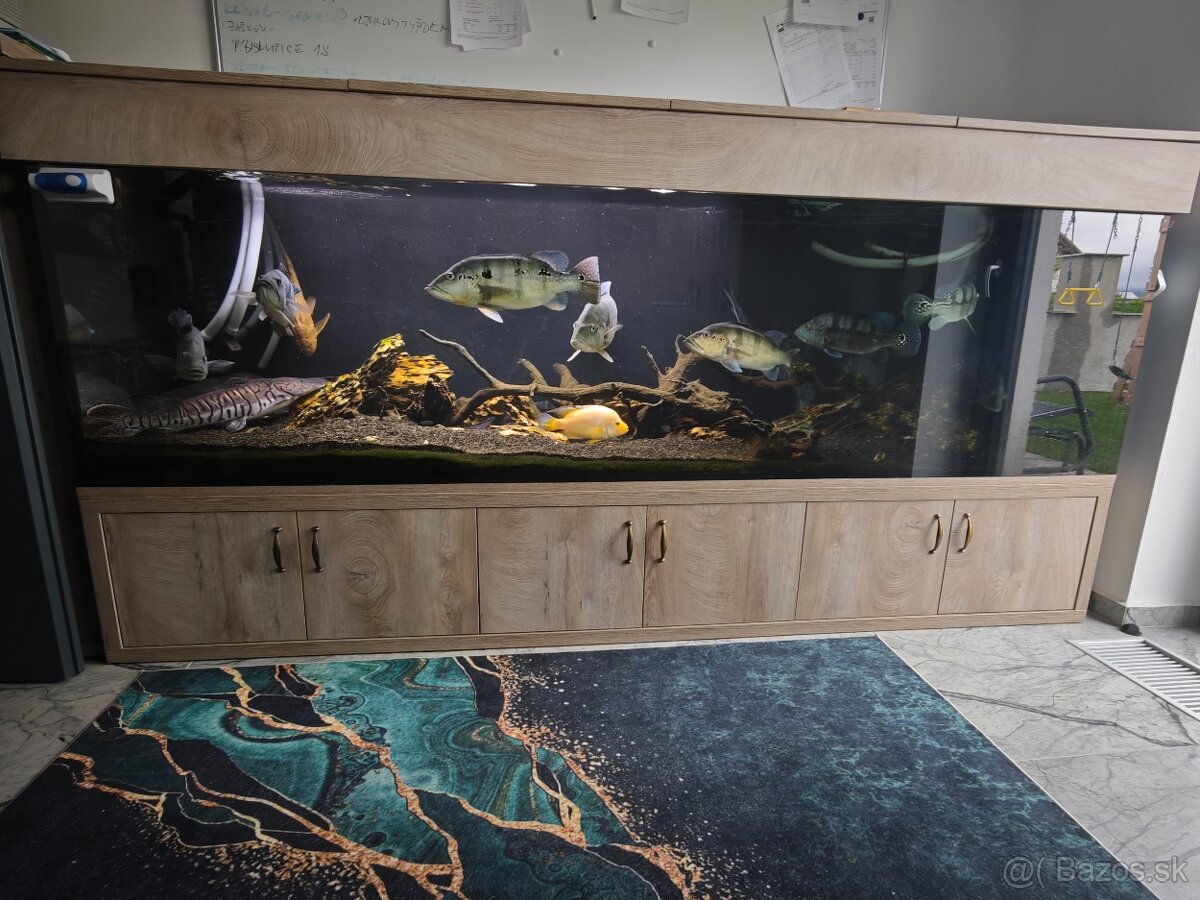 predám komplet akvárium aj samotne ryby s filtráciami