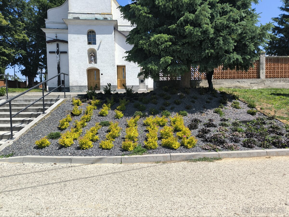 Záhrada zelená strecha rizikové rezanie stromov