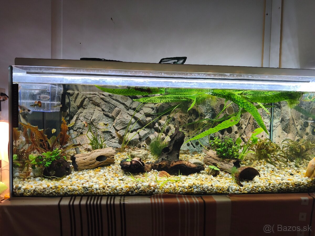 Komplet akvárium