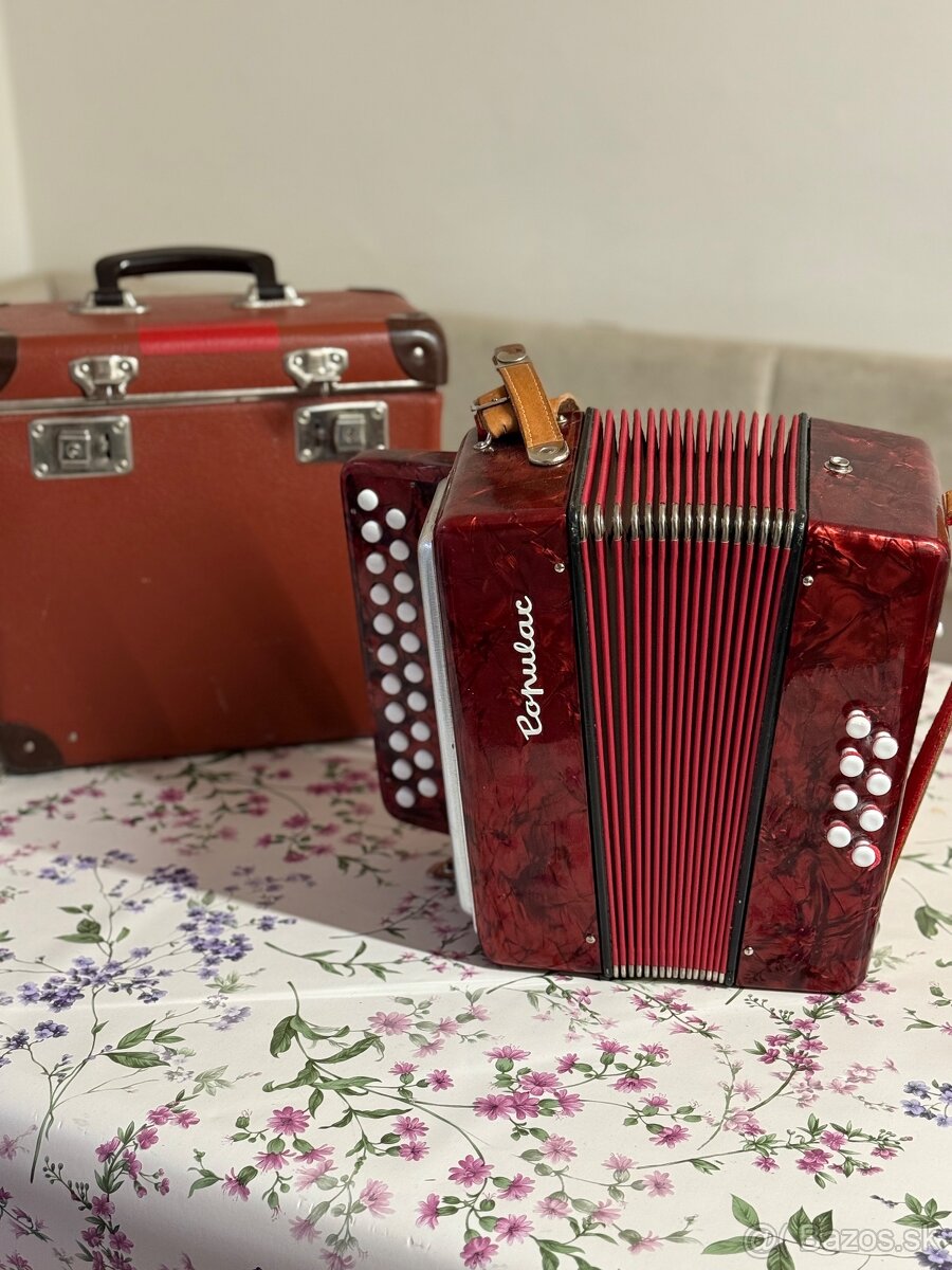 Heligonka popular delicia