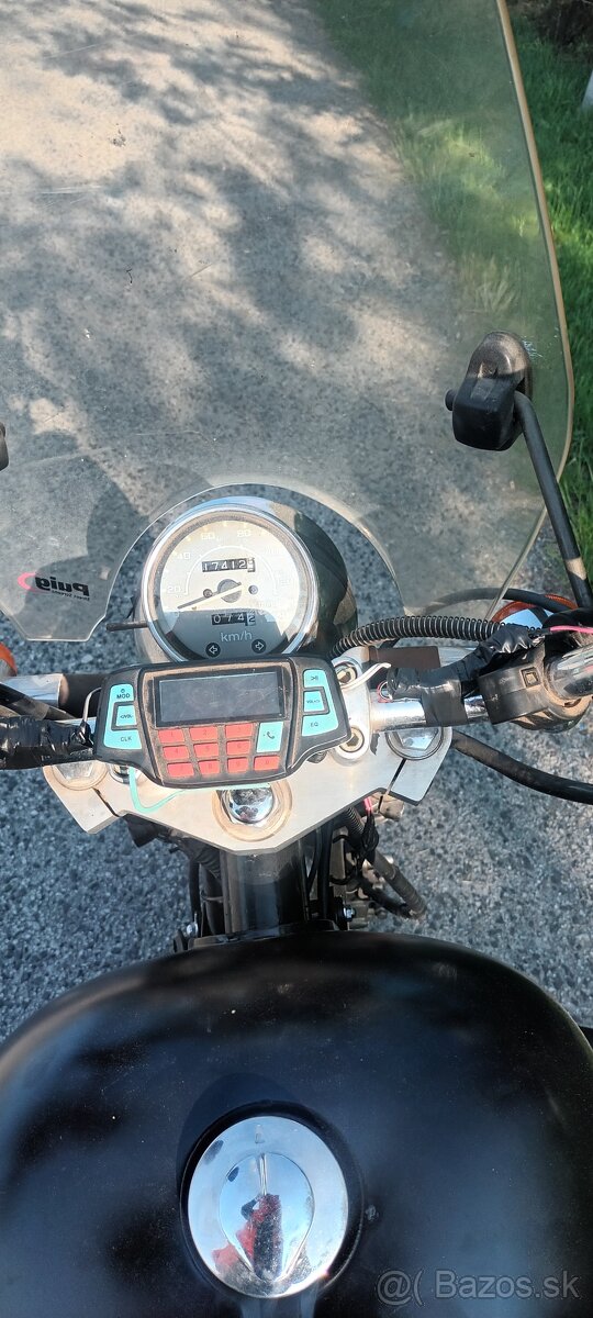 Yuki star-Regal Raptor 250-2005