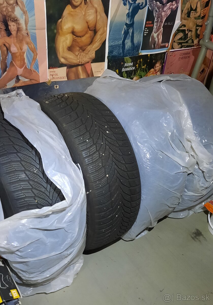 NEXEN WINGUARD SPORT 2 M+S