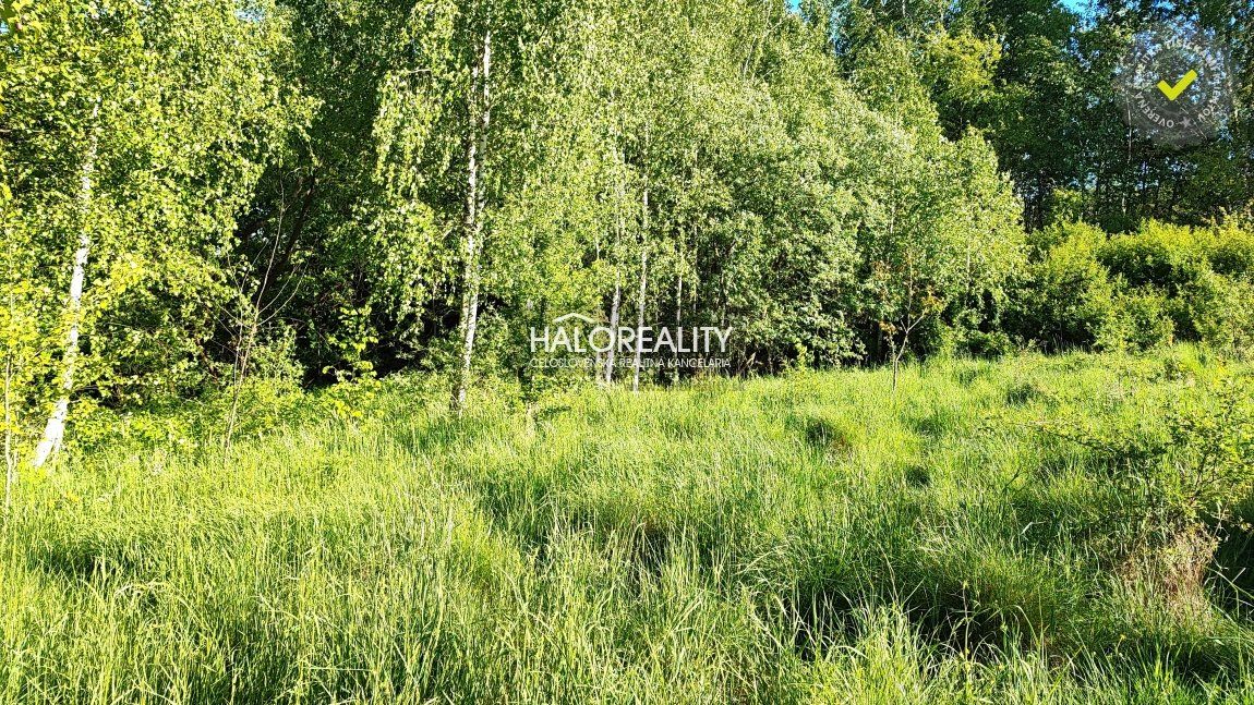 HALO reality - Predaj, pozemok pre rodinný dom 1882 m2 Det