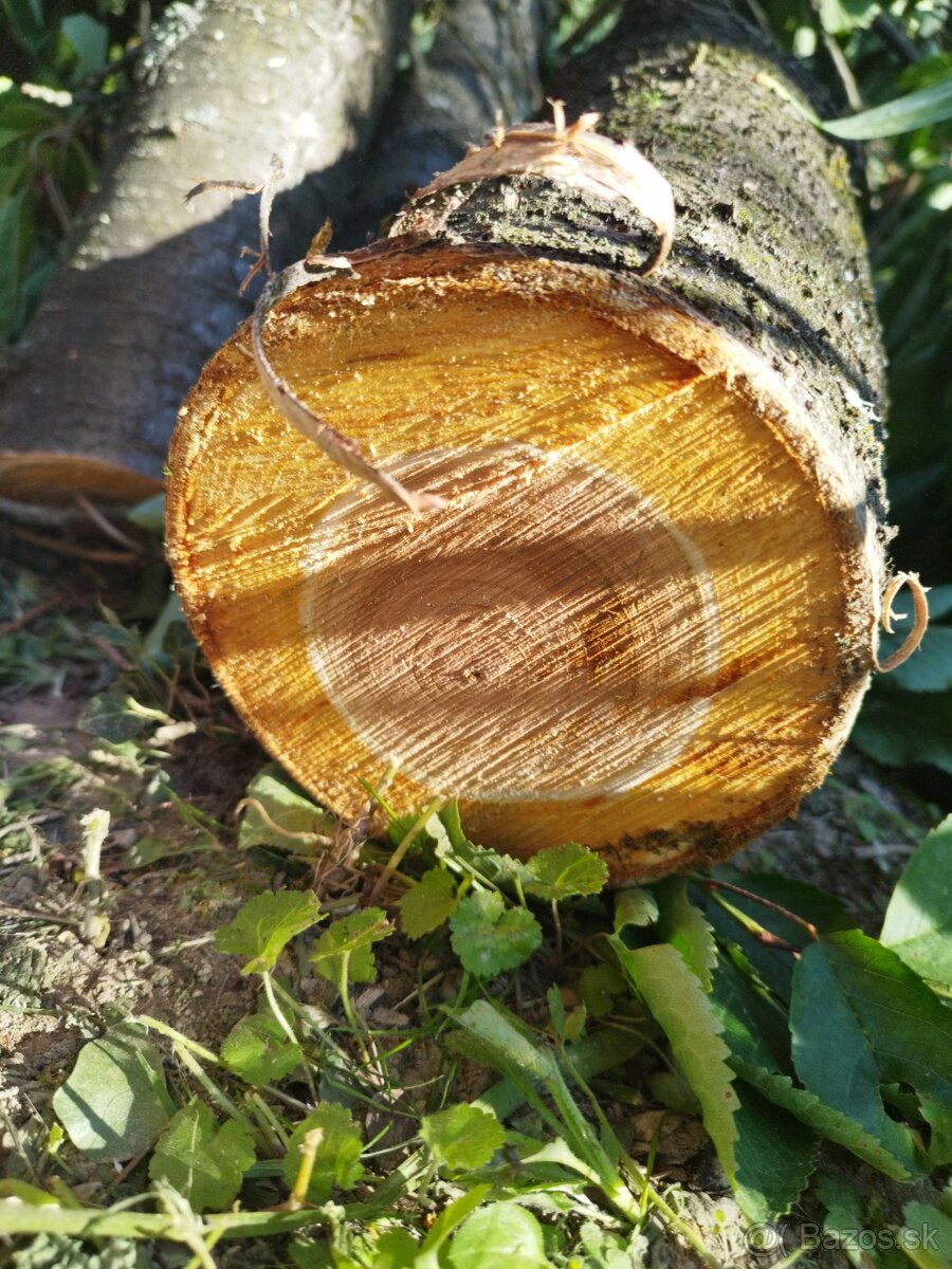 Čerešňové drevo