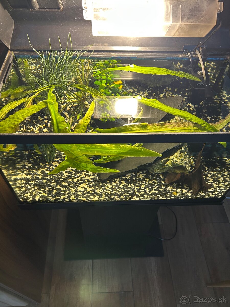 Predám akvárium 50l