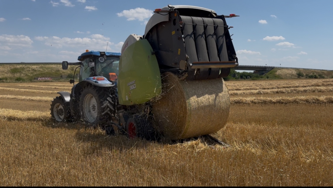 Lis na seno na guľaté okrúhle baliky