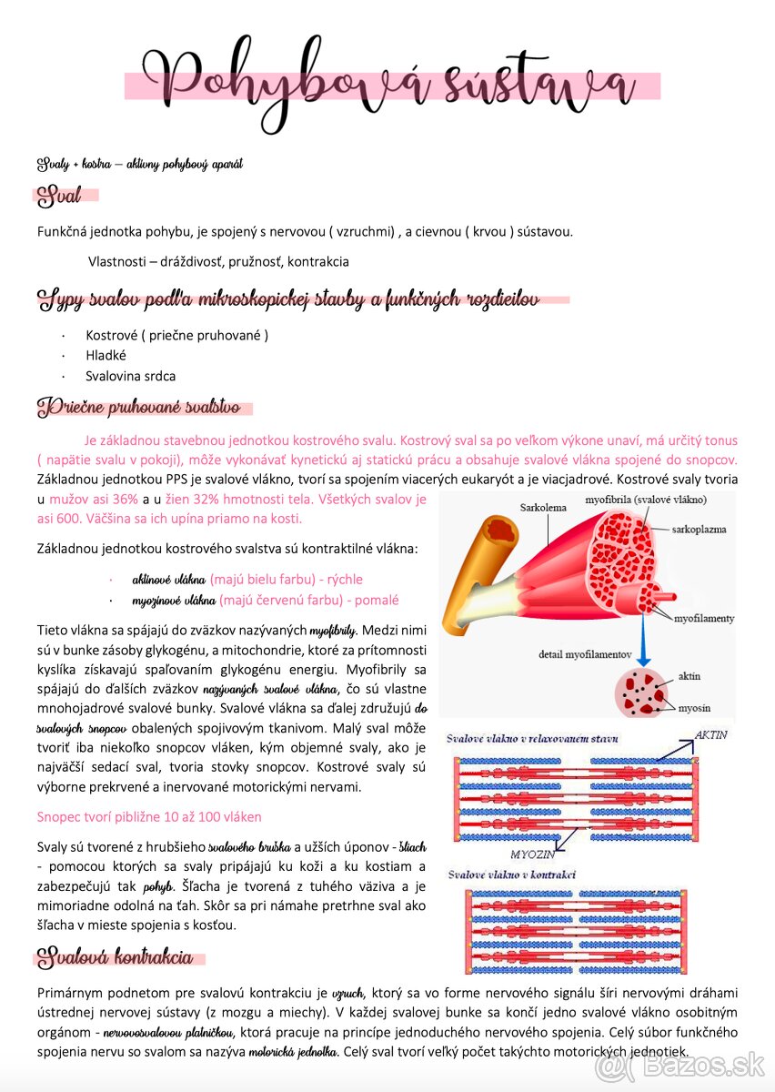 Poznámky na medicínu - biológia