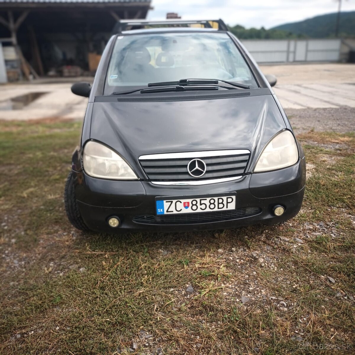 Predaj