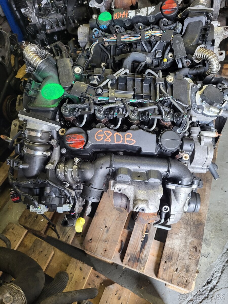 Motor 1.6tdci 80kw g8db ford