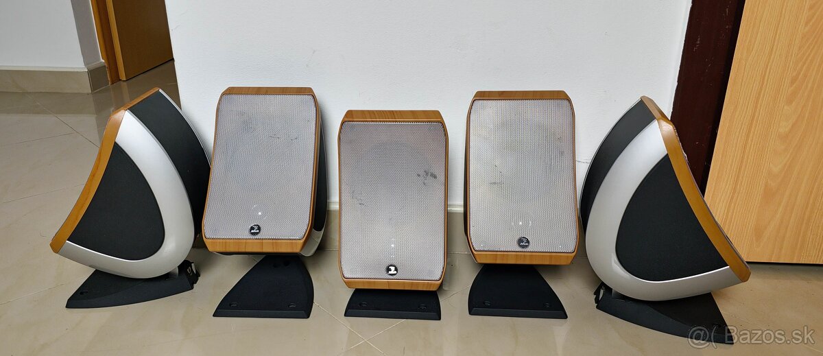 Focal Sib