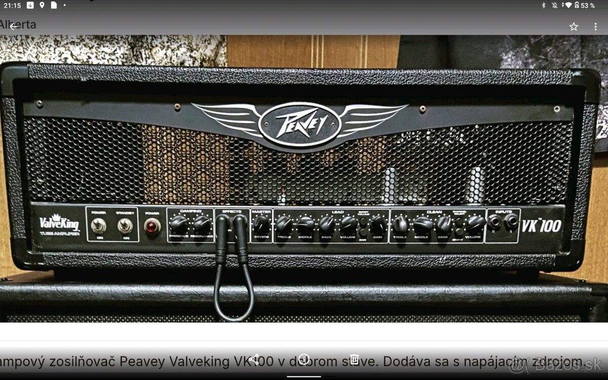 PEAVEY VALVEKING 100 WATT HLAVA
