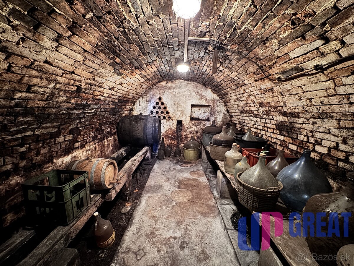 Pozemok s nádherným výhľadom na Skalicu–vinohrad so sklepom