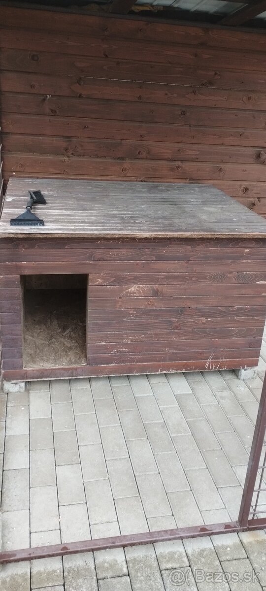 Voliera , koterec pre psa.