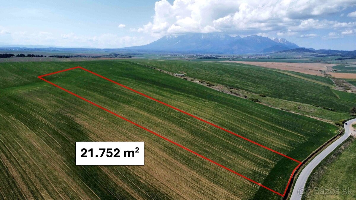 Podhorany – 21.752 m2 ORNÁ PÔDA v podiele 1/1 – Predaj