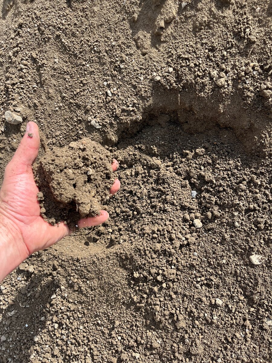 Osievana zem, ornica .