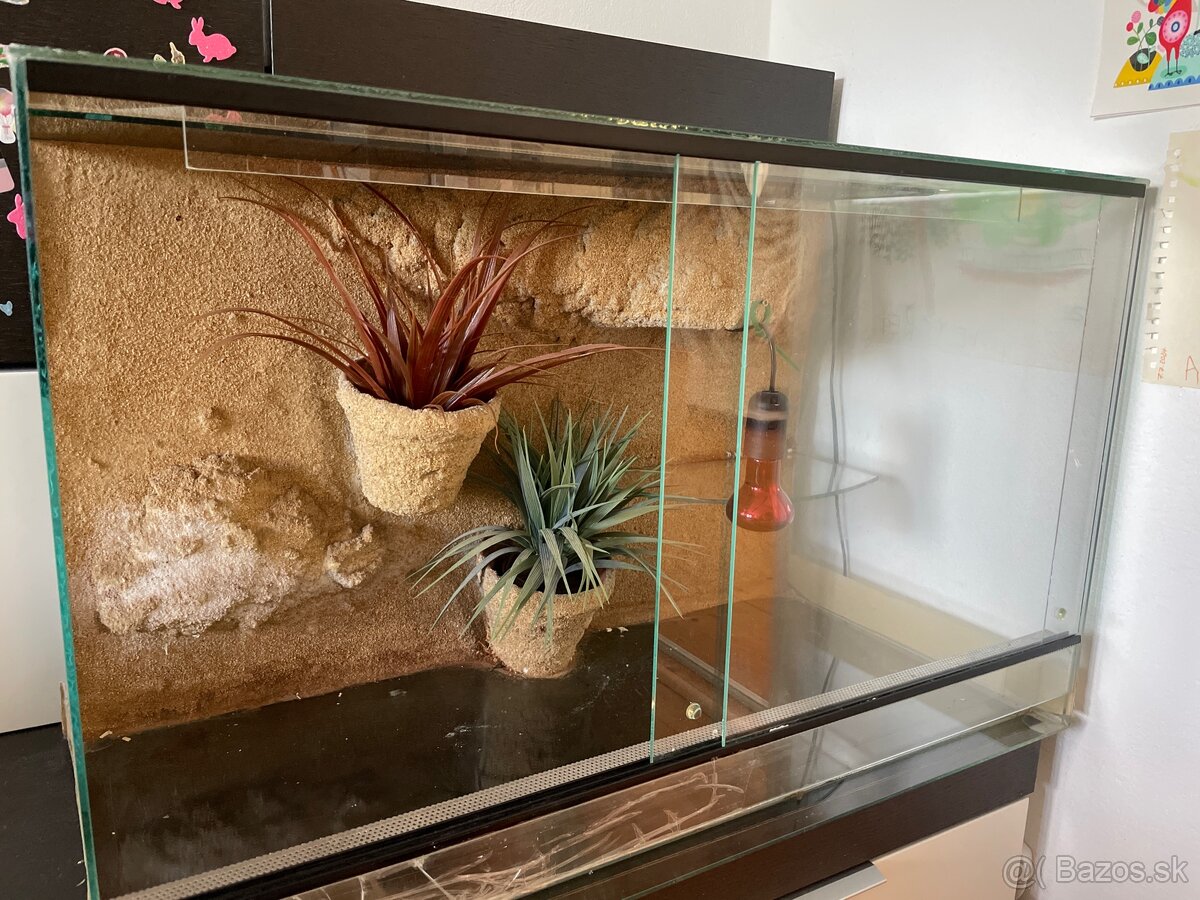 Akvárium - terárium 75x40x50cm