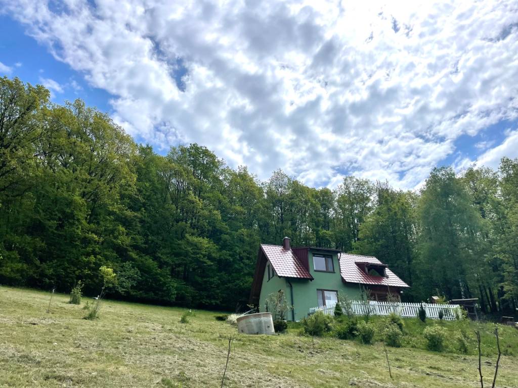 Na predaj chata pod lesom, Drietoma