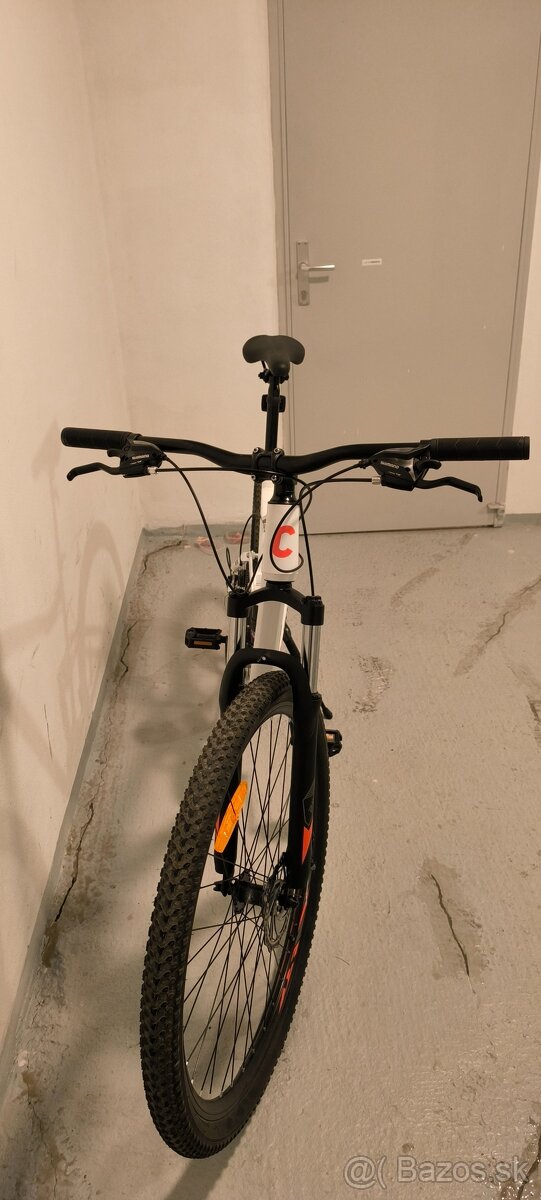 Canull XC 29 full biely
