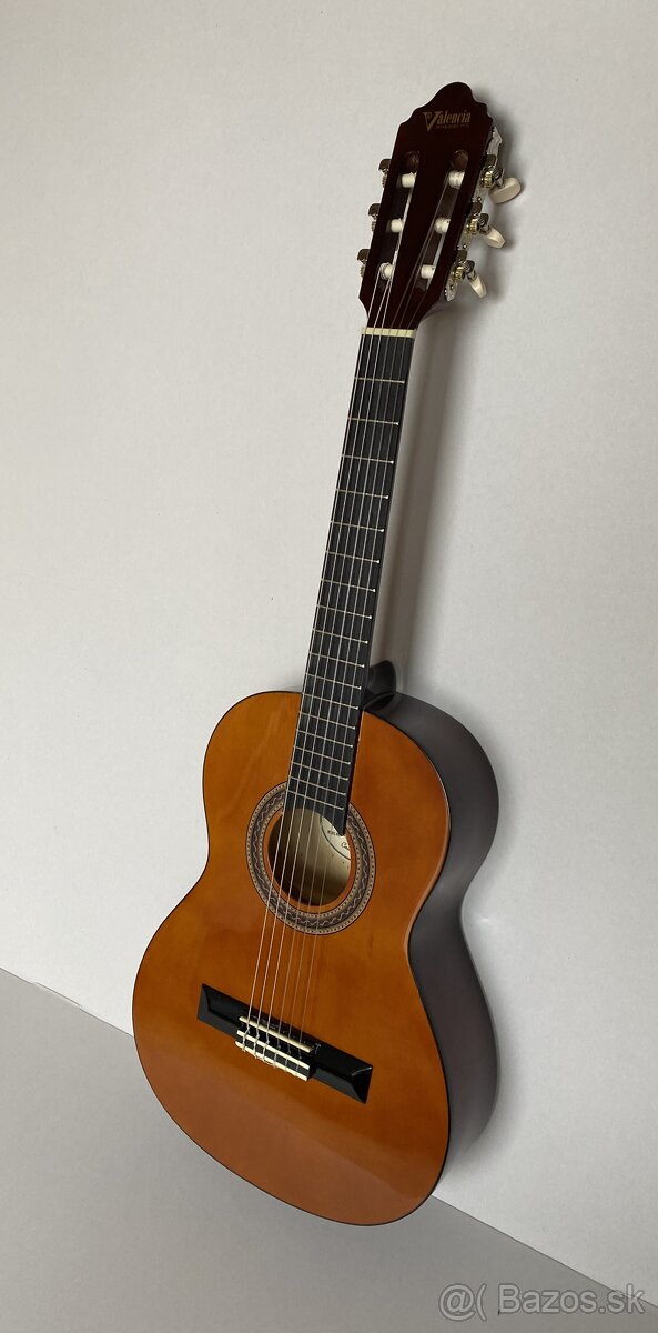 Gitara Valencia VC102