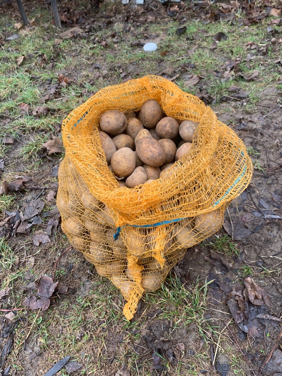 Predám sadbové zemiaky
