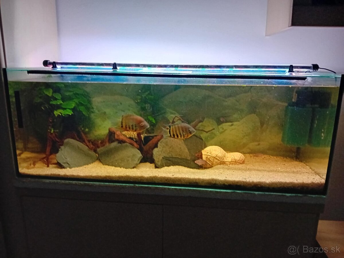 Akvarium 176 litrové