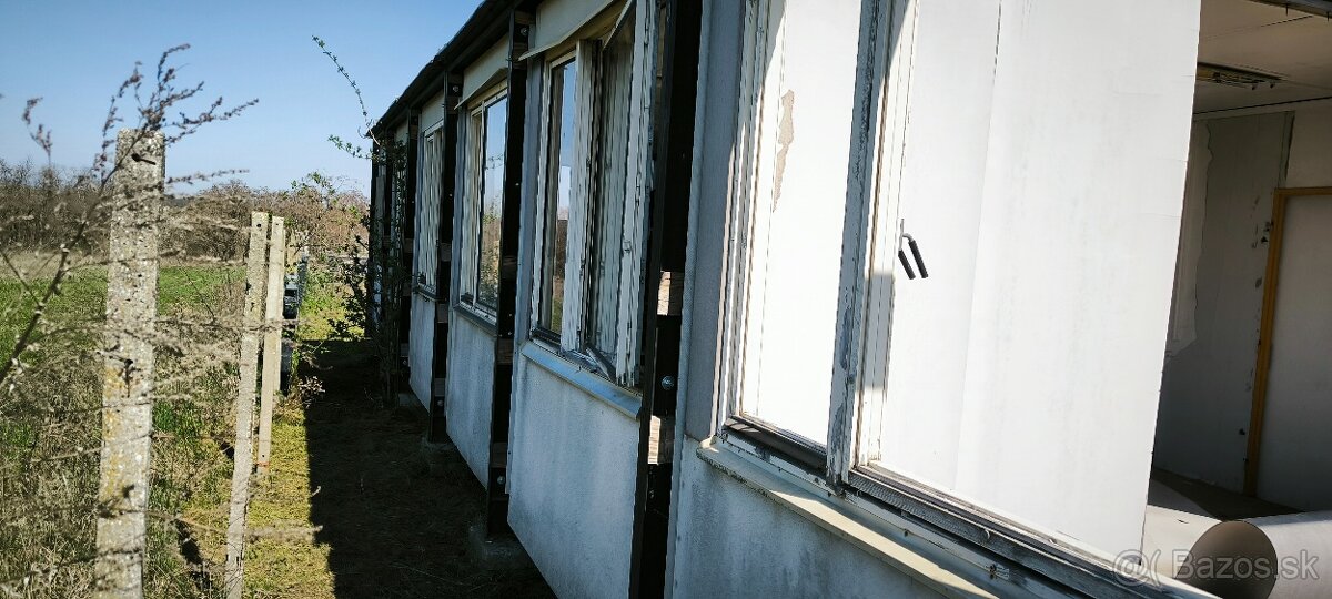 Unimo bunky