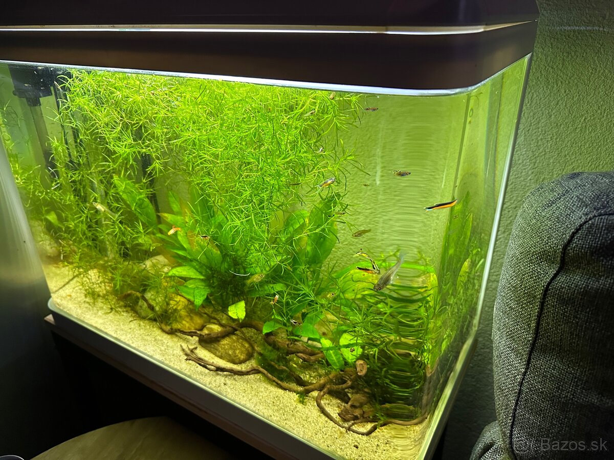Akvarium