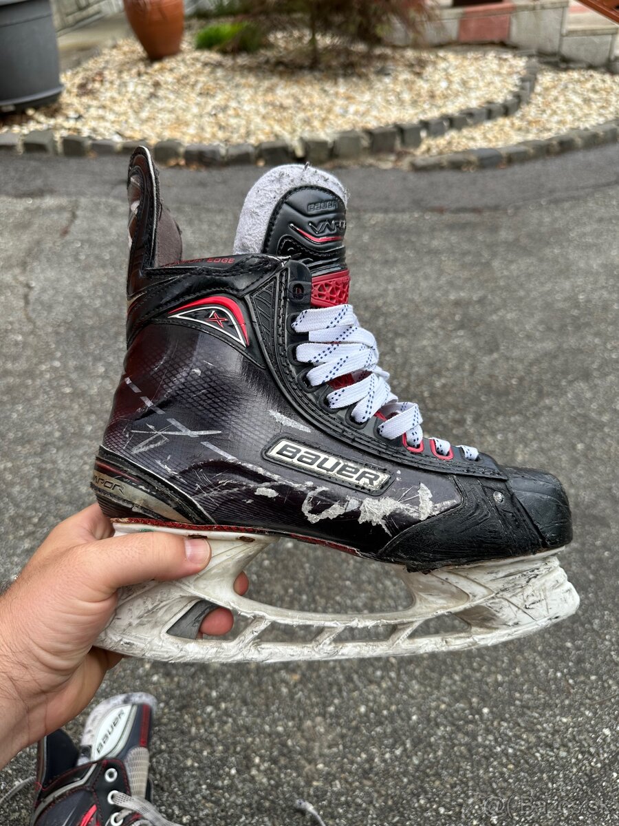 Korcule Bauer Vapor 1x