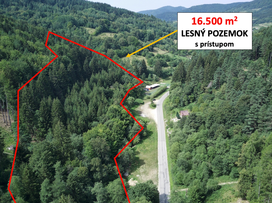 16.500 m2 LES, podiel 1/1, Petrovice (BY), prístup od cesty