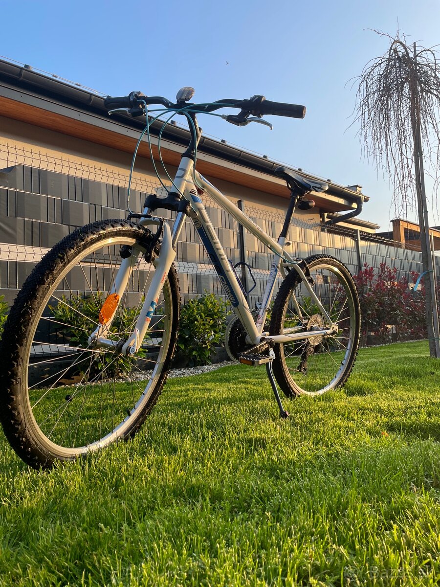 Horský bicykel DEMA