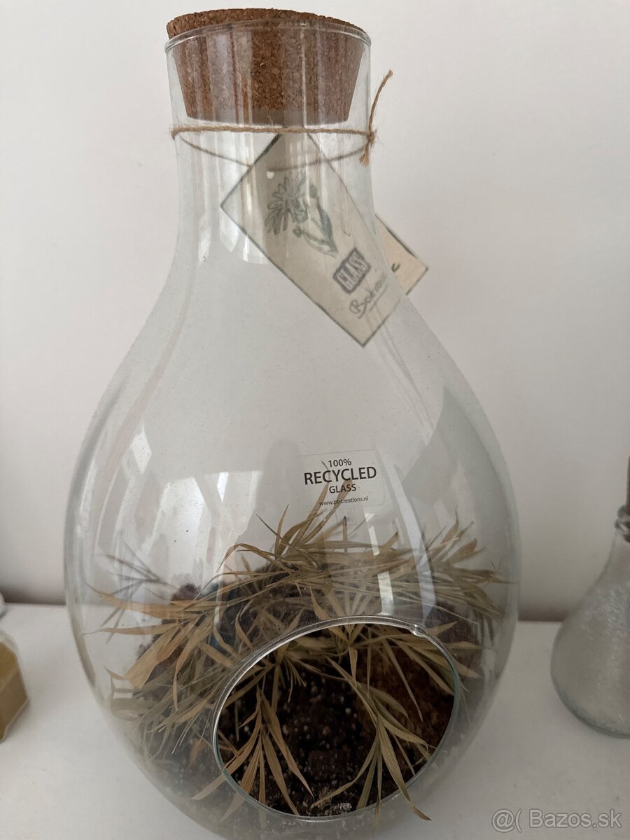 Akvarium pre rastliny