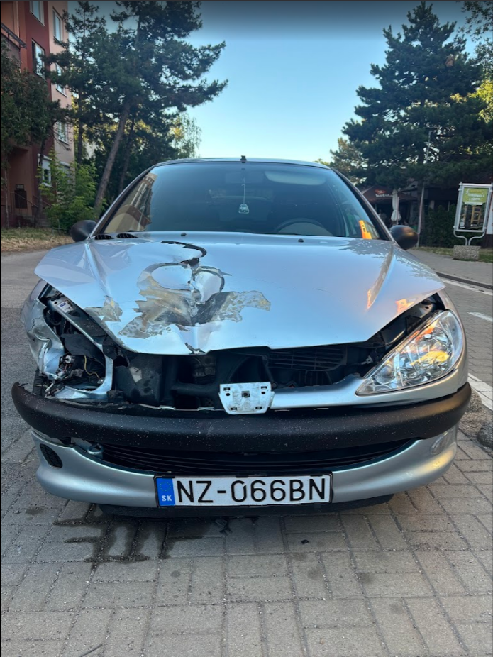 Peugeot 206 1.1i 44kW