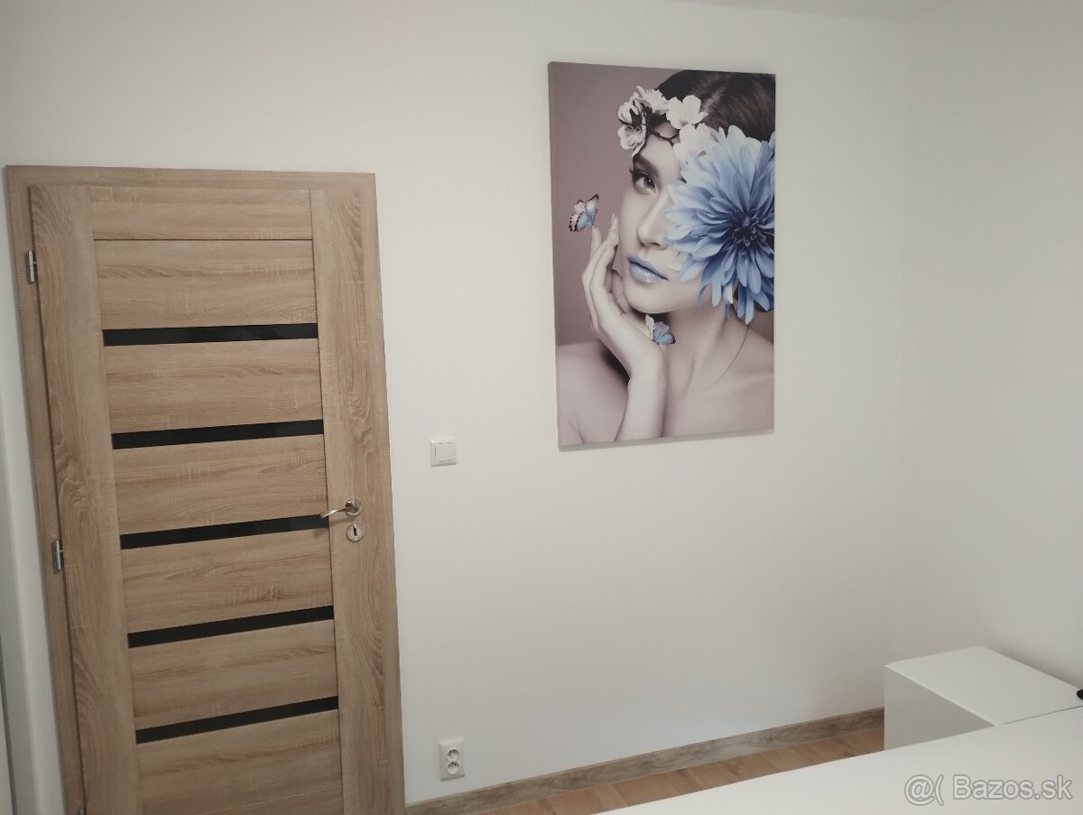 Prenájom 2-izbovy byt s park. miestom