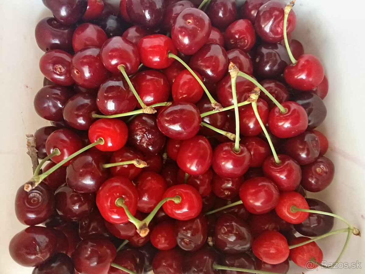 Čerešne