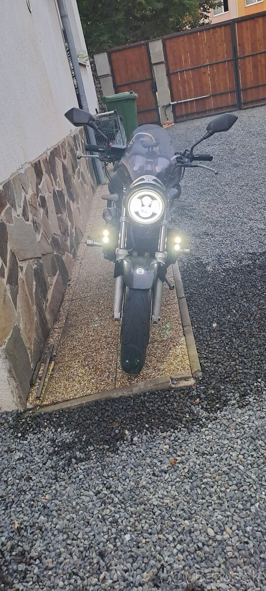 Predam Honda Hornet 600