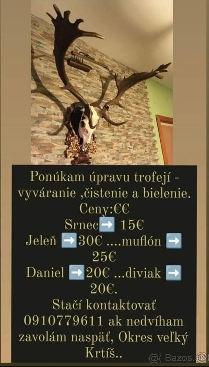 Úprava trofeji