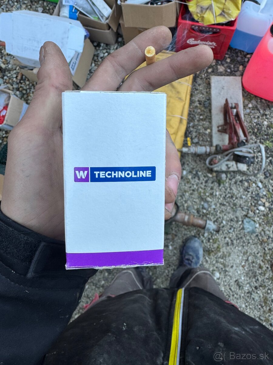 Termostatická hlavica