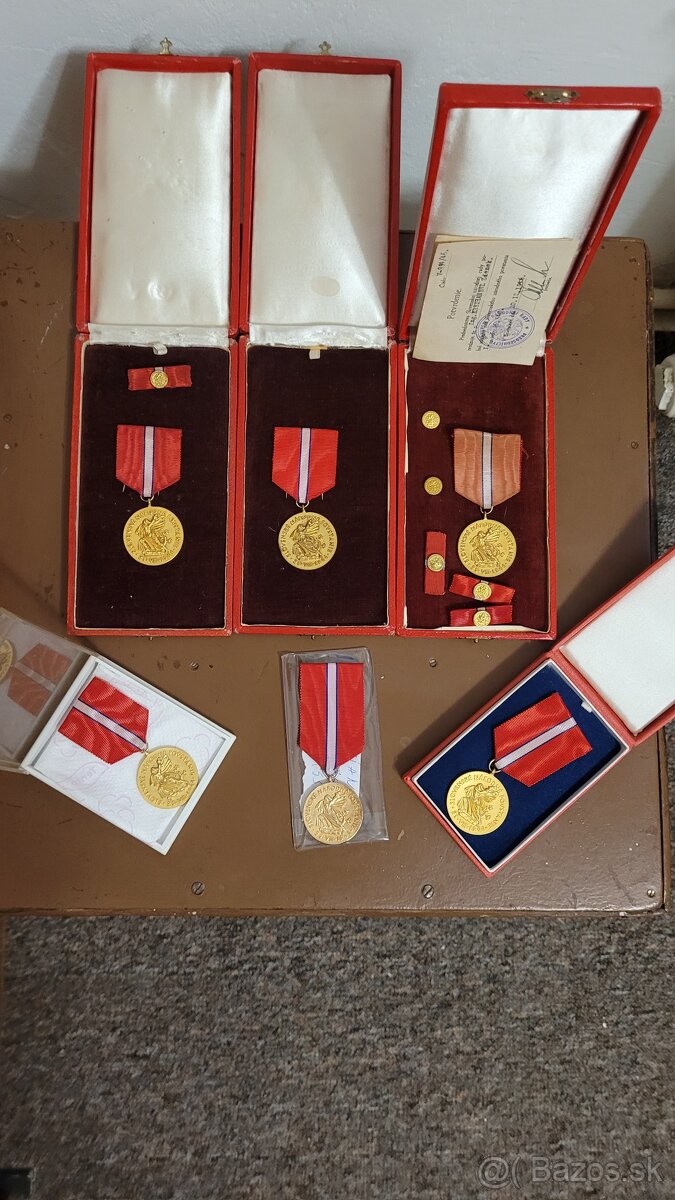 Odznak.vyznamenanie..snm