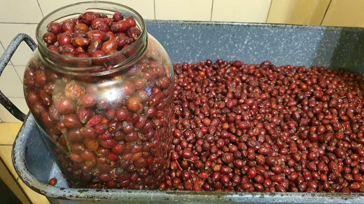 Predám šípky v štvor litrovom pohári