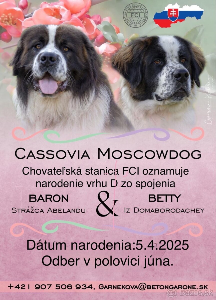 Moskovský strážny pes
